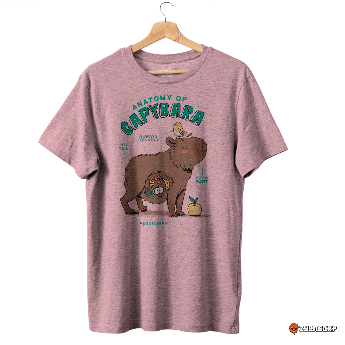 Capybara Anatomy